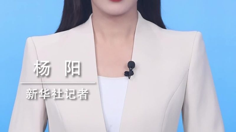 SAAS平台代理加盟：揭秘选品标准的五大关键要素